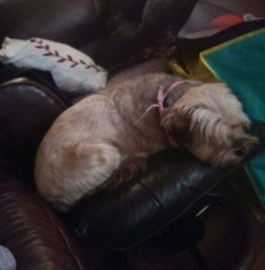 Meet your Posher, Jérémy